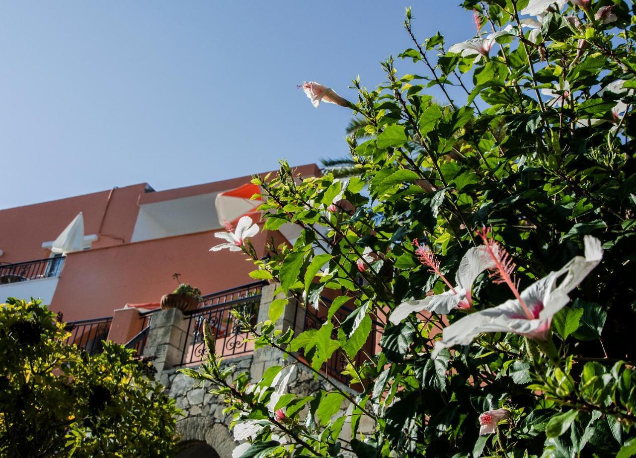 Aparthotel Alkion Exopoli Exteriér fotografie